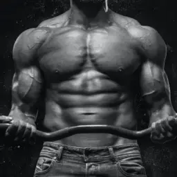 Primobolan/ Anavar/ Testosterone Cycle Primobolan/ Anavar/ Testosterone Cycle