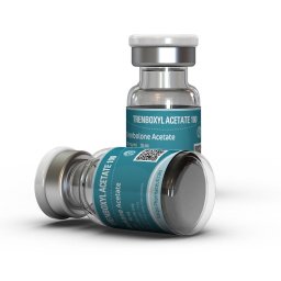 Testosterone | Trenbolone | Winstrol Cycle